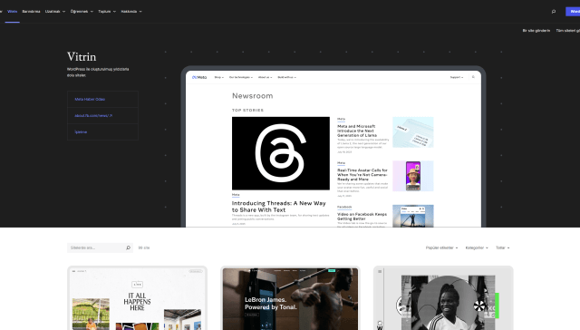 WordPress Nedir